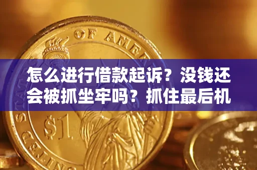 北京怎么进行借款起诉？没钱还会被抓坐牢吗？抓住最后机会！