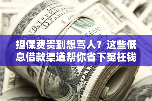 北京担保费贵到想骂人？这些低息借款渠道帮你省下冤枉钱