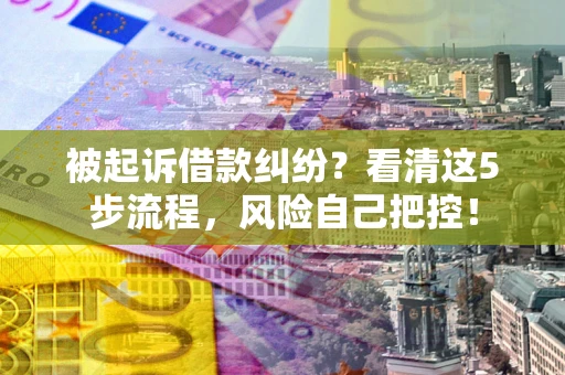 北京被起诉借款纠纷？看清这5步流程，风险自己把控！
